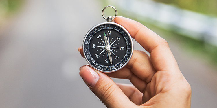 Resources and leads to help you get the most of your UF postdoctoral experience
